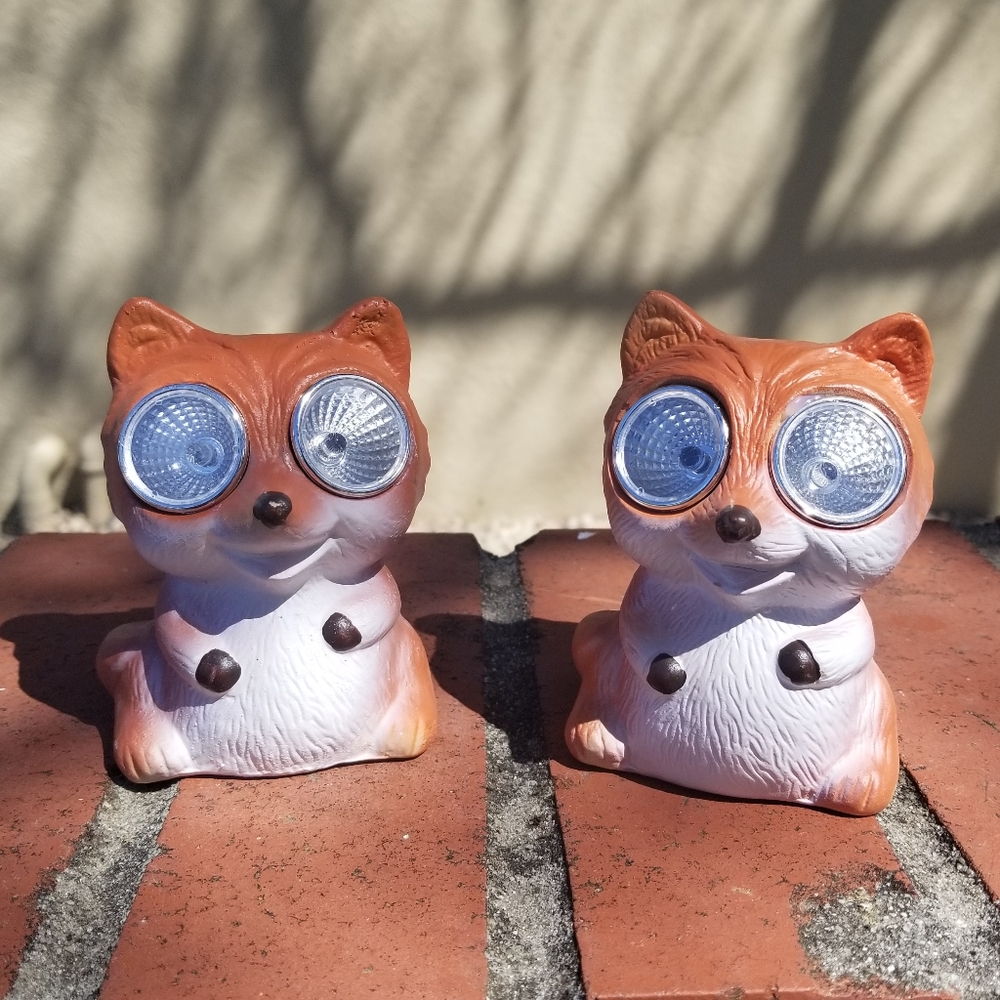 🔴 2 Garden Foxes